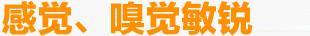 感應嗅覺敏銳